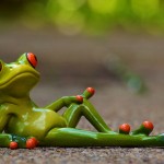 frog lying down